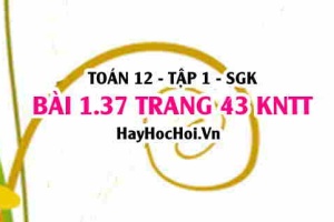 Bài 1.37 trang 43 Toán 12 tập 1 Kết nối tri thức